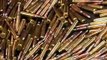 How the bullets are made in USA factories - weaponry military power American 美國子彈工廠製作流程