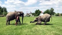 fillerden müthiş şov