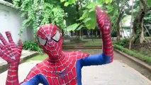 Tiny Venom KICK Tiny Spiderman! Tiny Superheroes War Hulk Joker In Real Life Action Video Kid