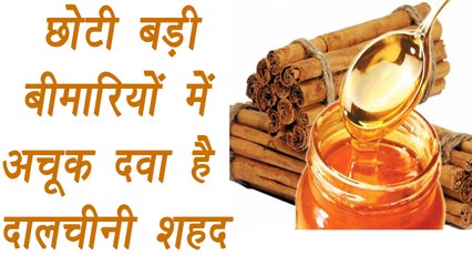 Honey and Cinnamon, Home remedy | छोटी बड़ी बीमारियों में अचूक दवा है दालचीनी शहद |  Boldsky