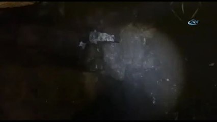 Kato'da PKK'ya Bir Darbe Daha