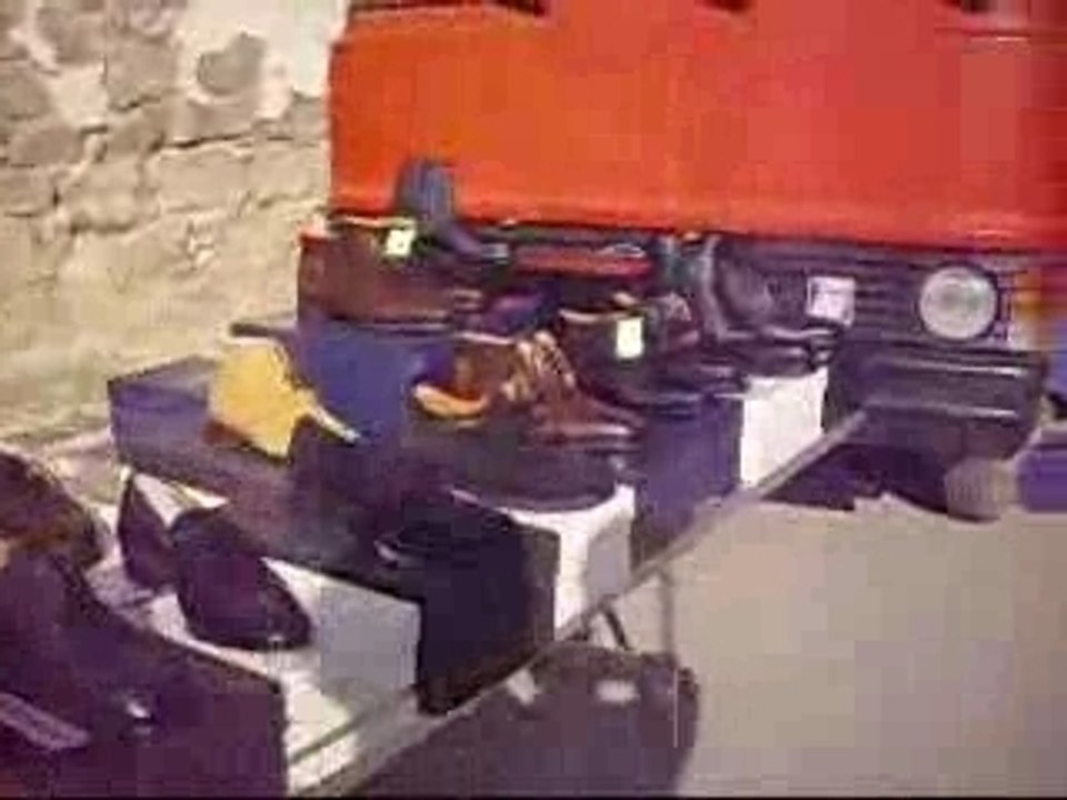 La fiera del rosario (degli animali)