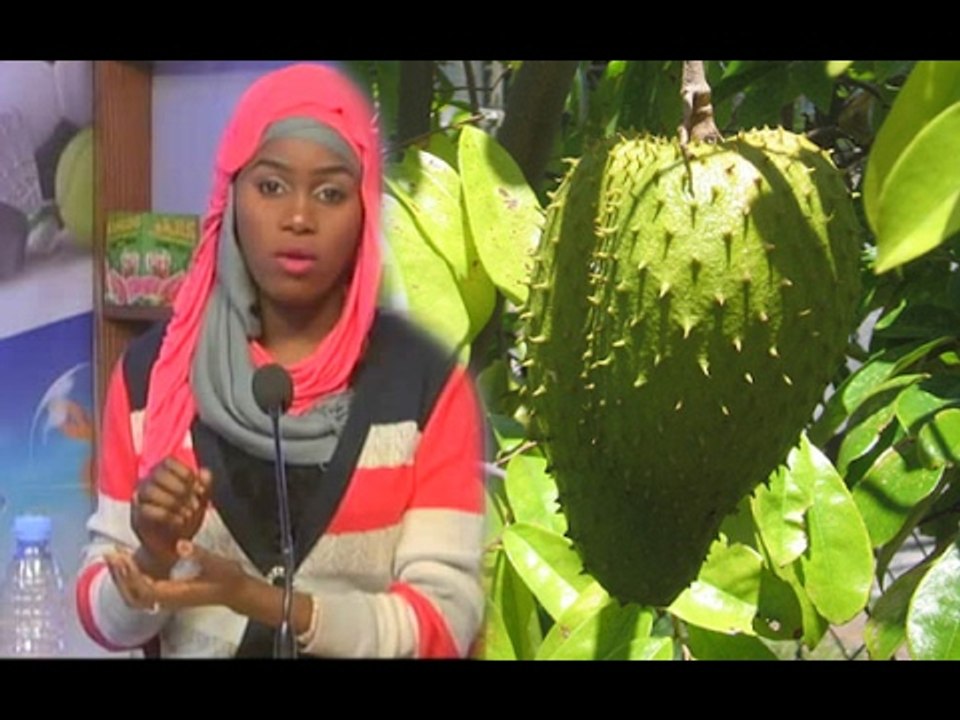 Petit Dej (13 fev.-17) - Sante: Les vertus thérapeutiques du corossol