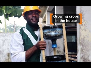 Cameroon: Growing crops in the house