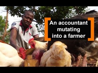 Benin: An accountant mutating into a farmer