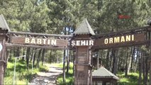 Bartın Şehir Ormanı'nda Ağaç Kesimine Tepki