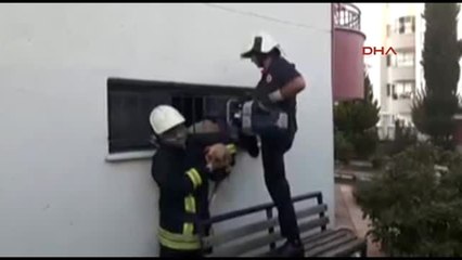 Denizli Parmaklığa Sıkışan Köpeği Itfaiye Kurtardı