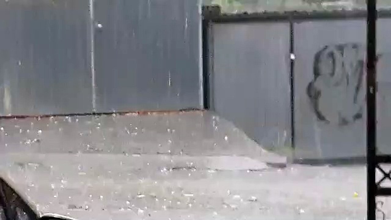 Shi