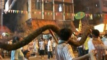 Danse du dragon de Tai Hang 2
