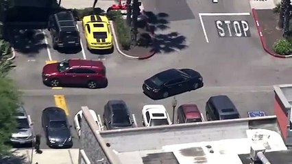 Police Chase Los Angeles