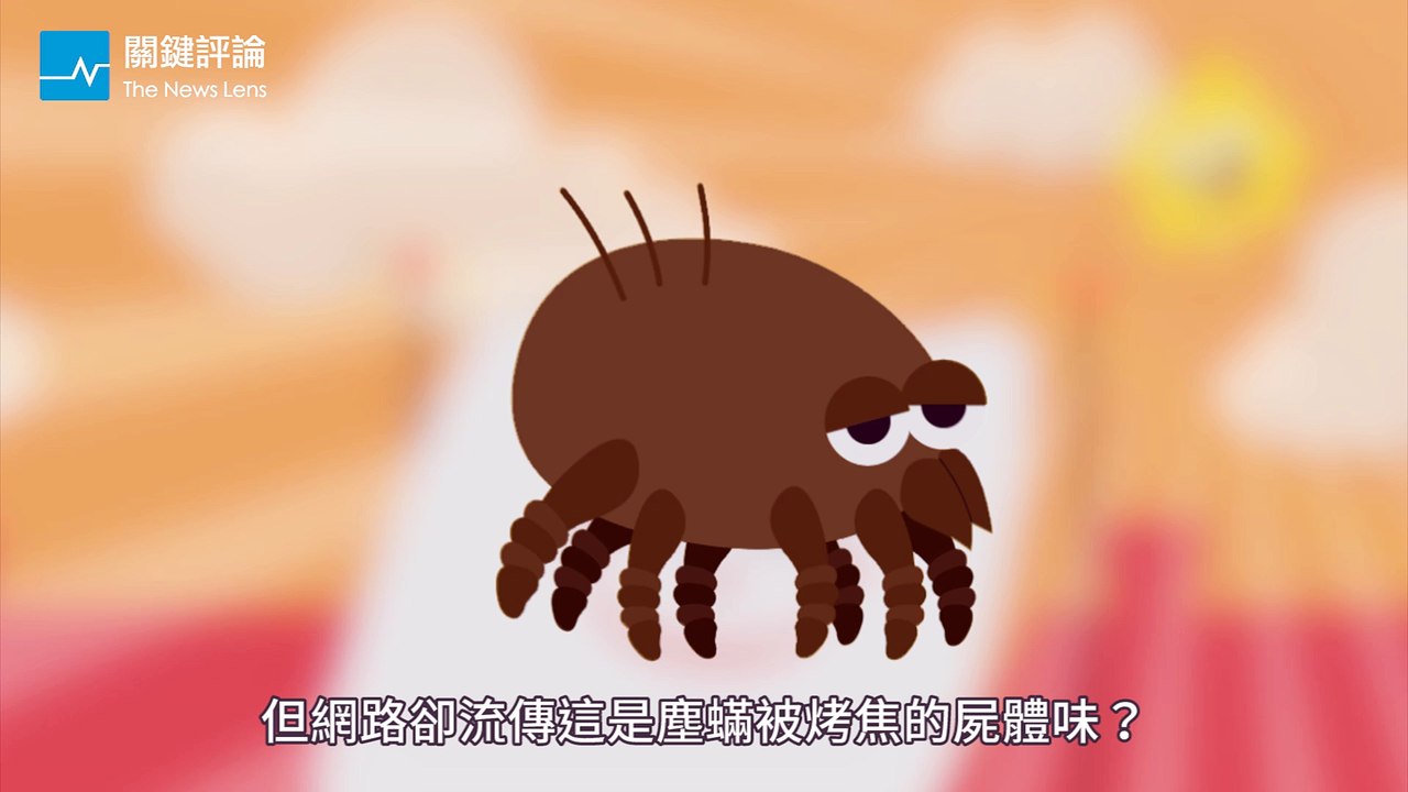 曬棉被最愛的「陽光味」，真的是塵蟎BBQ的味道嗎？
