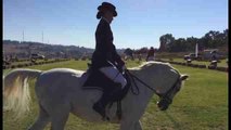 Sudáfrica mantiene viva la tradición del caballo Lipizzano