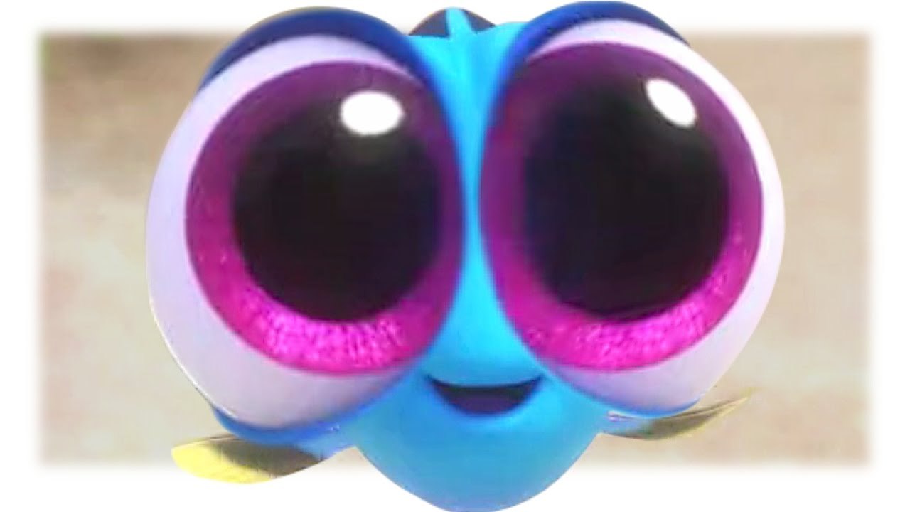 Finding Dory Craziness!