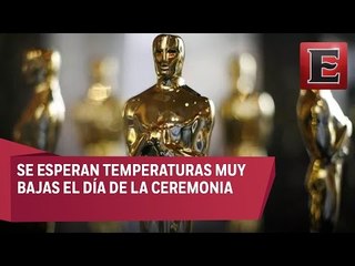 Detalles previos a la entrega 89 de los Oscar