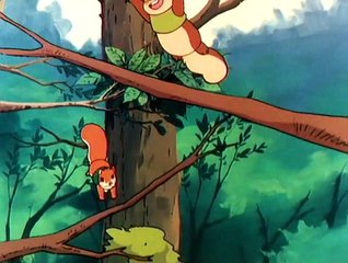 Banner lo scoiattolo 9 - Benvenuto Banner