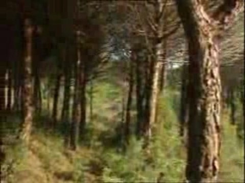 Vacanze da sogno a Bibione