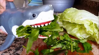 shark toy playing making saladsdfe