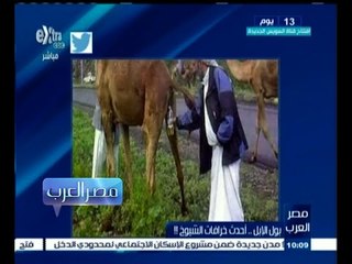 #مصر‪_‬العرب |  بول الأبل .. أحدث خرافات الشيوخ