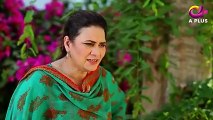Bo Bo Ki Beti Episode 17