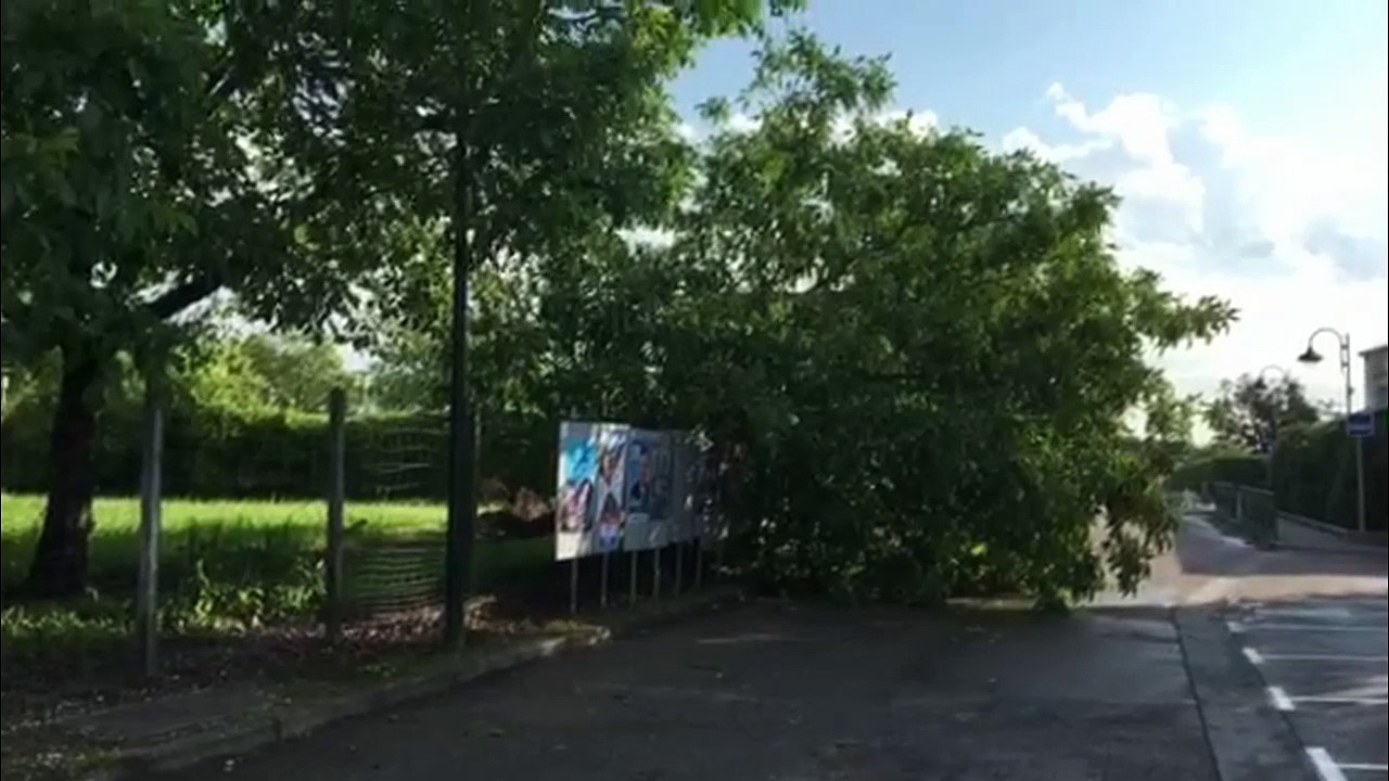 Noyer arraché dans Saint Quentin sur Isère
