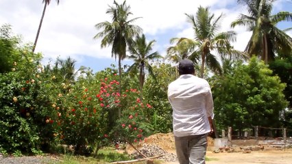 NADUVULA KONJAM AALA KANOM - நடுவுல கொஞ்சம் ஆளைக் காணோம் COMEDY - vimalathithan