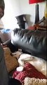 Il padrone chiede all'Husky di fargli spazio sul divano. La risposta del cane è fantastica!