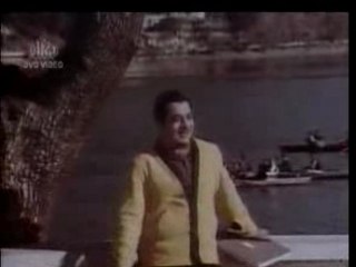 Mohabbat Se Dekha Khafa Ho Gaye Hai