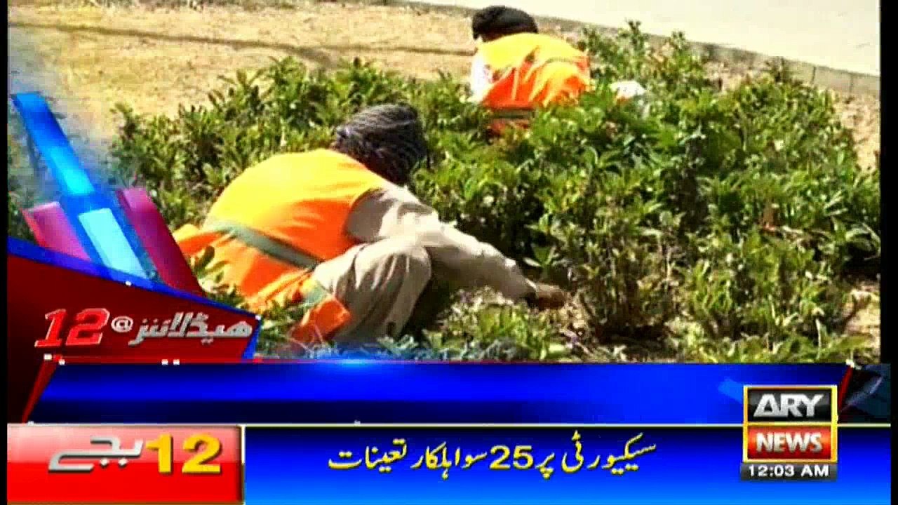 Headlines 0000 15th June 2017
