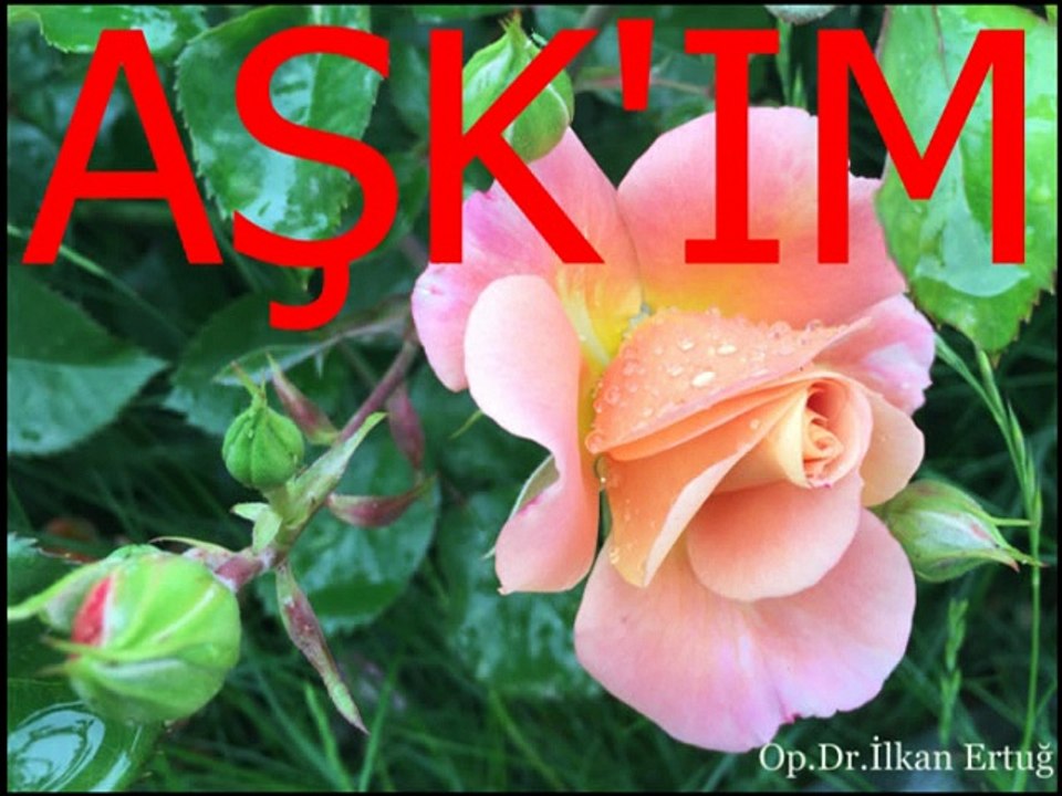 Nalân Altınörs-Nazende Sevgilim Yadıma Düştü.