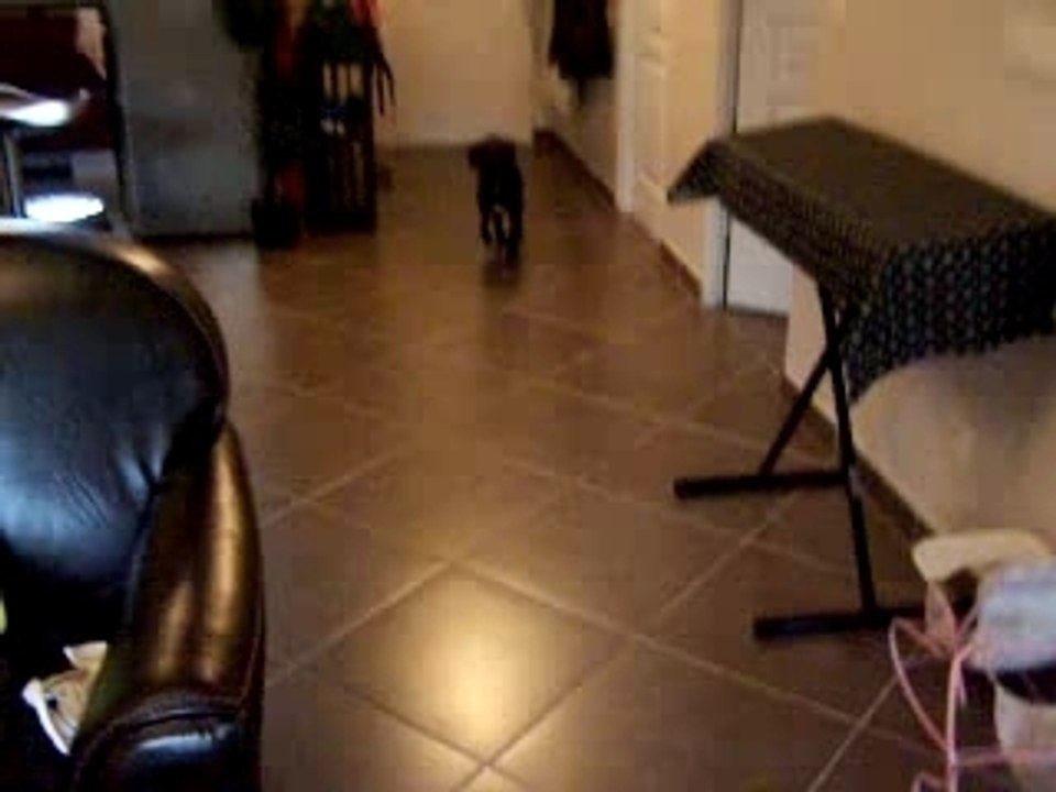 Photo 081
