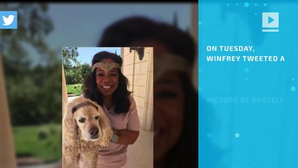Internet loves Oprah and her dog as 'Wonder Woman'