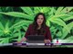 Aprueban uso medicinal de la marihuana en México | Noticias con Yuriria Sierra