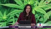 Aprueban uso medicinal de la marihuana en México | Noticias con Yuriria Sierra