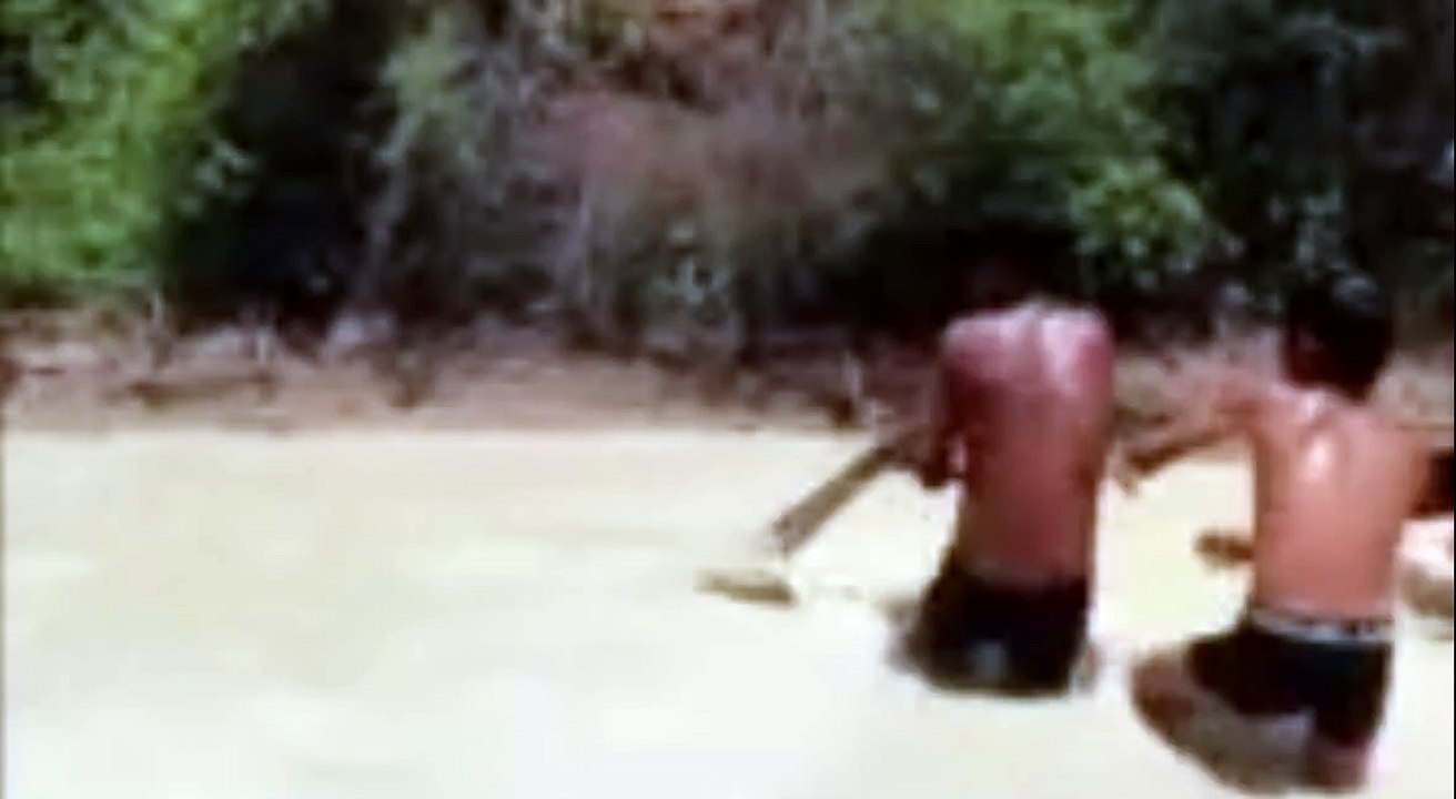 Ces enfants cambodgiens attrapent un anaconda dans une rivière
