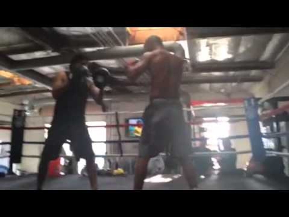Beltran Mitts