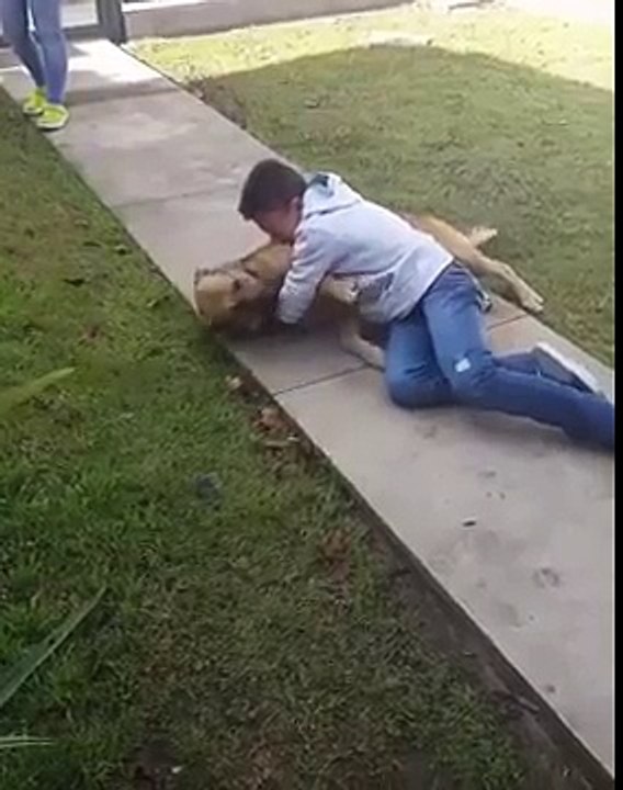 Niño estalla en lágrimas al reencontrarse con su perro... después de 8 meses!!