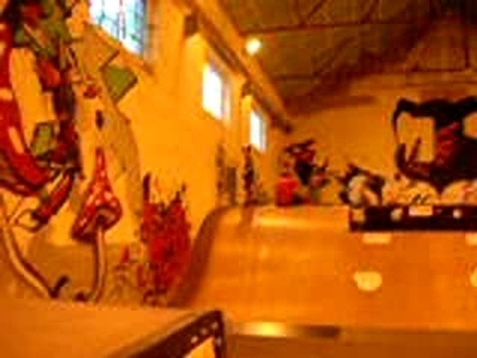 Frontflip kamille colmar