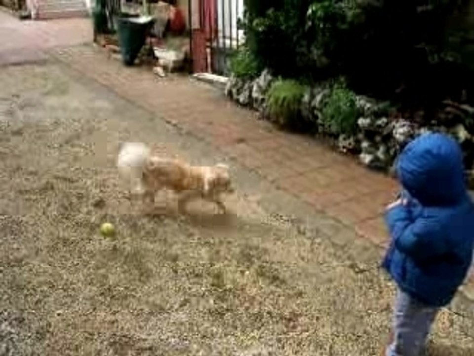 Lucas joue a la balle avec Quebec