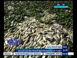 #غرفة_الأخبار | طوارئ بالبحيرة لمواجهة نفوق الأسماك بنهر النيل فرع رشيد