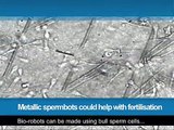 347.Metallic spermbots could help with fertilisation