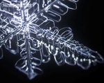 330.Six-sided snowflakes bloom in slow motion