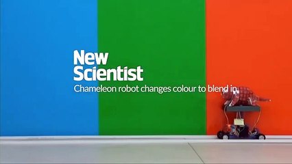 215.Chameleon robot changes colour to blend in