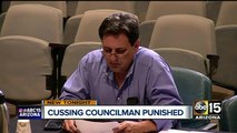 Tempe councilman under for for using foul language