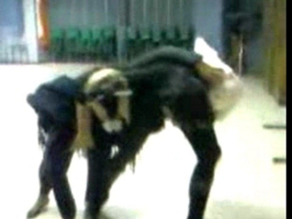 Vidéos0010