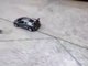 Remote controlled Racing Car, Car Toy, Cars Toys for Kidsqw