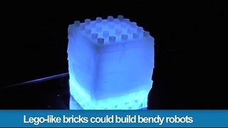 309.Lego-like bricks could build bendy robots