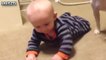 Cute Dogs and Babies Crawling Together - Adorable babies C