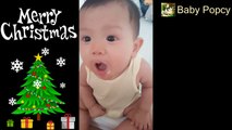 Kids Funny Video ★ Merry Christmas Baby ★ Merry Christmas Funny baby videos