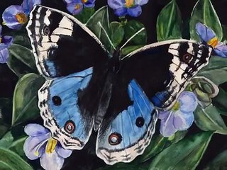 Thế Giới Không Chỉ Riêng Mình Em _ Cs  Alla Pugacheva _ ( VND 15/6/2017 ))