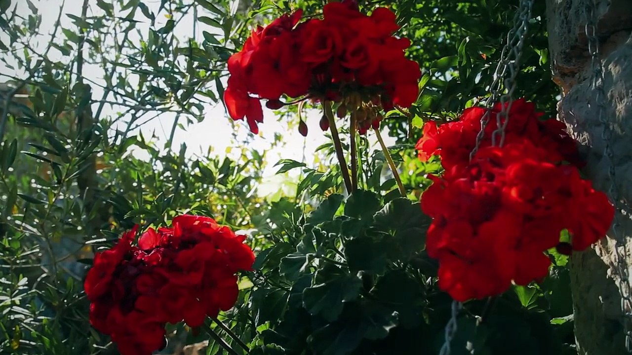 Klapa Rišpet - Šta mi ljube oćeš kazat (OFFICIAL VIDEO)